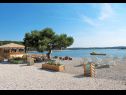 Appartamenti Ljilja - nice garden: A1(4) Fazana - Istria  - la spiaggia