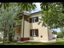 Appartamenti Roma - with terrace : A1(4) Fazana - Istria  - la casa