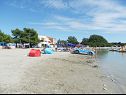 Appartamenti Real - 10 m from sea : A7(2+2), A8(2+2) Medulin - Istria  - la spiaggia