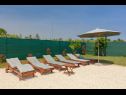 Casa vacanza Berto - with pool: H(4+2) Pomer - Istria  - Croazia - il cortile