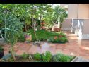 Appartamenti Leonard - green garden: A1 Leonard(2+1), A2 Marin(2+1), A3 Vera(2+1) Porec - Istria  - il giardino
