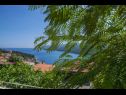 Appartamenti e camere Gracia - with great view: SA1(2), SA2(2) Rabac - Istria  - Studio appartamento - SA1(2): lo sguardo dalla terrazza