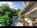 Appartamenti Lili-with paddling pool: A1(4+2) Umag - Istria  - il cortile
