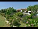 Casa vacanza Gurianum - with pool: H(8) Vodnjan - Istria  - Croazia - la piantata dei fiori (casa e dintorni)