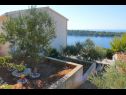 Appartamenti Mari - amazing sea view: A1(4), A2(4) Baia Karbuni (Blato) - Isola di Korcula  - Croazia - il giardino