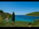 Casa vacanza Vers - 35m from the sea: H(4+2) Baia Picena (Vela Luka) - Isola di Korcula  - Croazia - lo sguardo