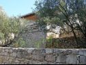Casa vacanza Vers - 35m from the sea: H(4+2) Baia Picena (Vela Luka) - Isola di Korcula  - Croazia - il giardino