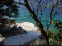 Casa vacanza Vers - 35m from the sea: H(4+2) Baia Picena (Vela Luka) - Isola di Korcula  - Croazia - la spiaggia