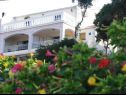 Appartamenti Dijana - 20m from the sea A1 Antica(4+1), A2 Diana(2+1), A3 Mirela(2+1) Prigradica - Isola di Korcula  - la casa