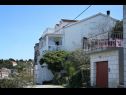 Appartamenti e camere Ivo - 20m from the sea: A1(2), A2(2), A3(2+2), A4(2+2) Racisce - Isola di Korcula  - la casa