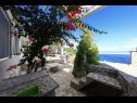 Casa vacanza Doria - perfect location & peaceful: H(3+1) Baia Stiniva (Vela Luka) - Isola di Korcula  - Croazia - il cortile