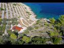 Casa vacanza Doria - perfect location & peaceful: H(3+1) Baia Stiniva (Vela Luka) - Isola di Korcula  - Croazia - la vegetazione (casa e dintorni)