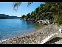 Casa vacanza Senka1 - pure nature & serenity: H(2) Baia Tudorovica (Vela Luka) - Isola di Korcula  - Croazia - la spiaggia