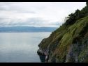 Casa vacanza Bernardica - on cliffs above sea: H(6+2) Vrbnik - Isola di Krk  - Croazia - la vegetazione
