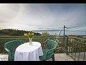 Appartamenti Panorama - terrace with sea view: A1(4) Brela - Riviera Makarska  - Appartamento - A1(4): la terrazza