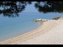 Appartamenti Lovre - close to the sea : A1(6), A2(4+1) prizemlje, A3(5) Brela - Riviera Makarska  - la spiaggia