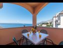 Appartamenti Ruze - 200 m from sea : A1(6+1), A2(8+1) Brela - Riviera Makarska  - Appartamento - A2(8+1): la terrazza