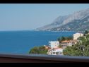 Appartamenti Ruze - 200 m from sea : A1(6+1), A2(8+1) Brela - Riviera Makarska  - Appartamento - A2(8+1): lo sguardo