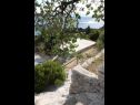 Appartamenti Up - amazing sea view: A1(2) Brela - Riviera Makarska  - il cortile