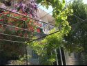 Appartamenti Secret garden - seaview: A1(4), A2(2) Brela - Riviera Makarska  - la casa