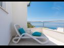 Appartamenti Ivi - 100 m from pebble beach: A1(2+2), A2(2+2), A3(2+2), A4(4+4), A5(2+2) Drasnice - Riviera Makarska  - Appartamento - A4(4+4): la terrazza