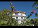 Appartamenti Gloria - 5 min to the beach : SA1(3+1), SA2(3), SA3(3), SA4(4), SA5(3), SA6(3), SA7(2), A8(6+4) Gradac - Riviera Makarska  - la casa