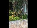 Appartamenti Blue - 100 m from beach: A1(3+1) Igrane - Riviera Makarska  - il giardino