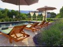 Casa vacanza Villa Vinka - with pool: H(6+2) Kozica - Riviera Makarska  - Croazia - la piscina