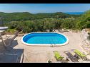 Casa vacanza Stone - pool house: H(4) Babino Polje - Isola di Mljet  - Croazia - la piscina (casa e dintorni)