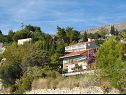 Appartamenti Mari - 40 m from sea: A1(4), A2(2+2), SA3(2) Krilo Jesenice - Riviera Omis  - il dettaglio (casa e dintorni)
