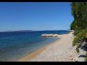 Appartamenti Bari - 140 m from beach: A1(4+1), A2(4), A3(2+2) Mandre - Isola di Pag  - la spiaggia