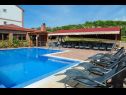 Appartamenti BRANO - with swimming pool A9(8+2), A10(4+2), SA11(5), SA12(5) Novalja - Isola di Pag  - la piscina