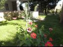 Appartamenti Ivo - with nice garden: A1(4), A2(4), A3(2) Pag - Isola di Pag  - il giardino