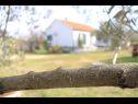 Casa vacanza Pavica K H(5) Pasman - Isola di Pasman  - Croazia - H(5): il dettaglio (casa e dintorni)