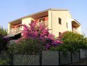 Appartamenti Ljube - quiet location & close to the beach: A1(4+1), A2(4+1), A3(2+1), A4(4) Loviste - Peninsola di Peljesac  - la casa