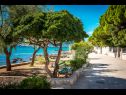 Casa vacanza Lidi - 30 m from beach: H(6+2) Orebic - Peninsola di Peljesac  - Croazia - il dettaglio (casa e dintorni)