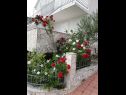 Appartamenti Vida with garden: A1(2+2) - Naranča, A2(2+2) -  Limun, A3(2+2) - Maslina, SA4(4) - Studio Mandula Orebic - Peninsola di Peljesac  - i fiori