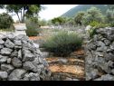 Casa vacanza Sage - rustic dalmatian peace H(2+1) Trpanj - Peninsola di Peljesac  - Croazia - il dettaglio