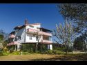 Appartamenti Davorka - with sea view: A1(4+1), A2(4+1) Kampor - Isola di Rab  - la casa