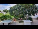 Appartamenti Ankica - pool & garden A1(9), A2(8) Kampor - Isola di Rab  - il cortile