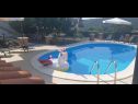 Appartamenti Robi- swimming pool and beautiful garden A1-žuti(5), A2-crveni(5), A3(3+1) Kampor - Isola di Rab  - Appartamento - A2-crveni(5): la piscina