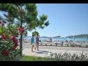 Appartamenti Ante - 10 m from sea: A1(6) Srima - Riviera Sibenik  - la spiaggia