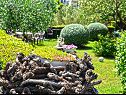 Appartamenti Mila - family friendly & comfortable: A1 (6+1) Vodice - Riviera Sibenik  - il giardino