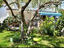 Appartamenti Mila - family friendly & comfortable: A1 (6+1) Vodice - Riviera Sibenik  - il giardino