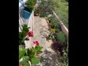Appartamenti Bionda - seafront : SA1(2+1), A2(4+1) Zaboric - Riviera Sibenik  - la piantata dei fiori