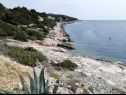 Casa vacanza Dragi - right next to the beach H(4+1)  Zirje (Isola di Zirje) - Riviera Sibenik  - Croazia - la spiaggia
