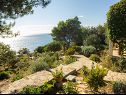 Casa vacanza Ani - 30 m from beach : H(4+1) Maslinica - Isola di Solta  - Croazia - lo sguardo sul mare (casa e dintorni)