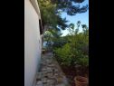 Casa vacanza More - sea view: H(2) Maslinica - Isola di Solta  - Croazia - il giardino