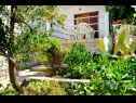 Appartamenti Goran - close to the sea & parking space: A1(4+2) Necujam - Isola di Solta  - il giardino