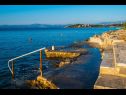 Appartamenti Angie - terrace with sea view:q A1(2+1) Necujam - Isola di Solta  - la spiaggia